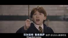 哈利波特中的媚娃长什么样