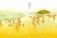 许我向你看什么意思