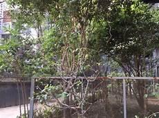 舞步木马寓意