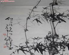 最漂亮的桃花眼图片